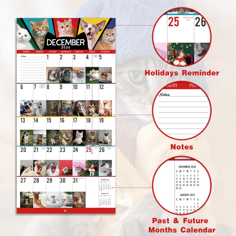MaaIbok 2026 Wall Calendar - Funny Cats Calendar 2026, 12"" x 24"" (Open), Jan.2026 - Dec.2026, 12-Month Calendar, 365-Day Lovely Cat Calendar, Unruled Blocks, Thick Paper, Hanging Hole - Image 3